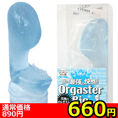 【数量限定★お一人様1点限り】びぃずぅ〜 (ウリボウ)() 【数量限定★お一人様1点限り】びぃずぅ〜 (ウリボウ)